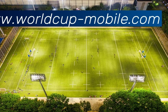 世界杯手机版平台生态图