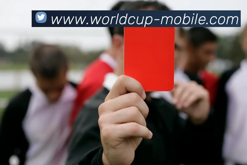 世界杯手机版APP 封面图